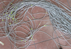 Fir CAT 6